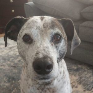 Meet your Posher, Bernadette